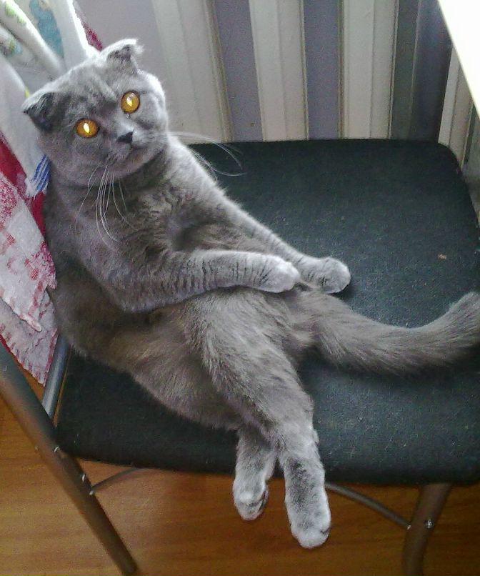 Екатерина Чубенко | Донецк