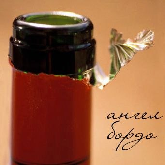 Елена Москвина | Ухта