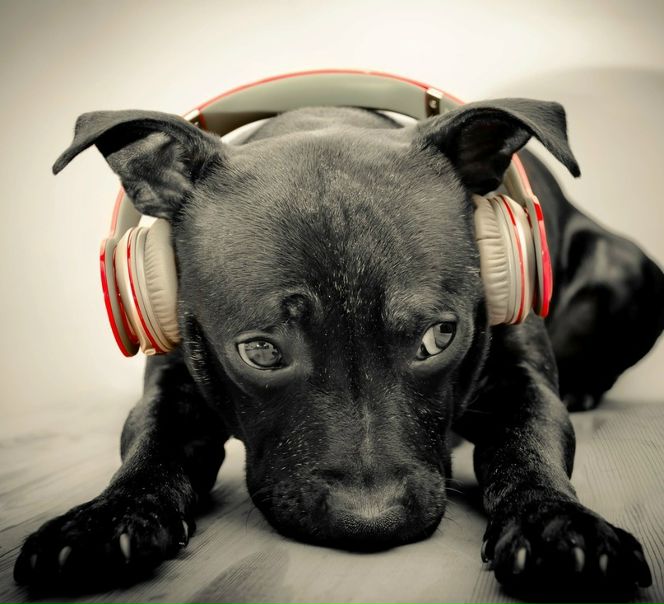 №88, Александр Рындыч, 34 года, Путивль №88, Александр Рындыч, 34 года, Путивль