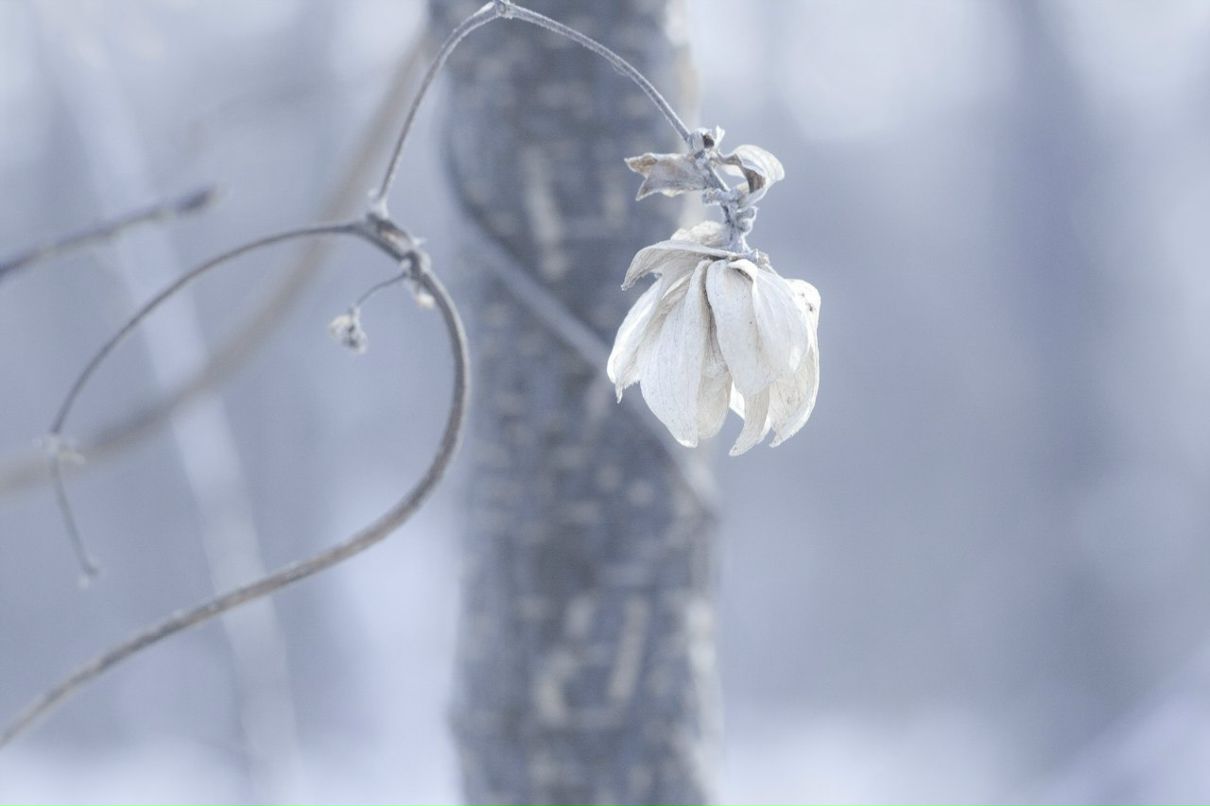 Наталья Сойко | Киев