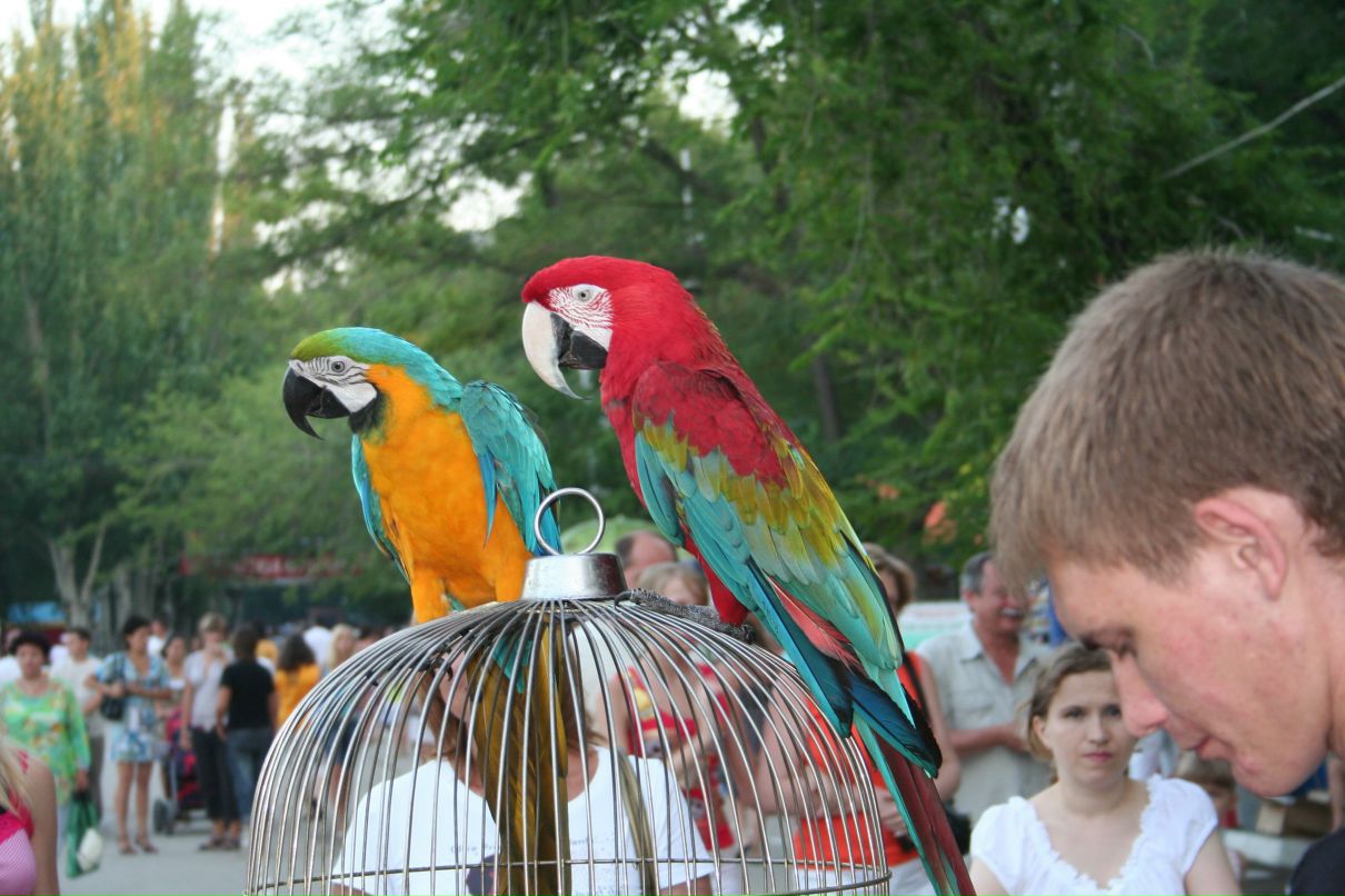 Светлана Ковалева Савченко | Санкт-Петербург