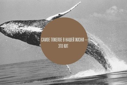 Наталя Кіт | 