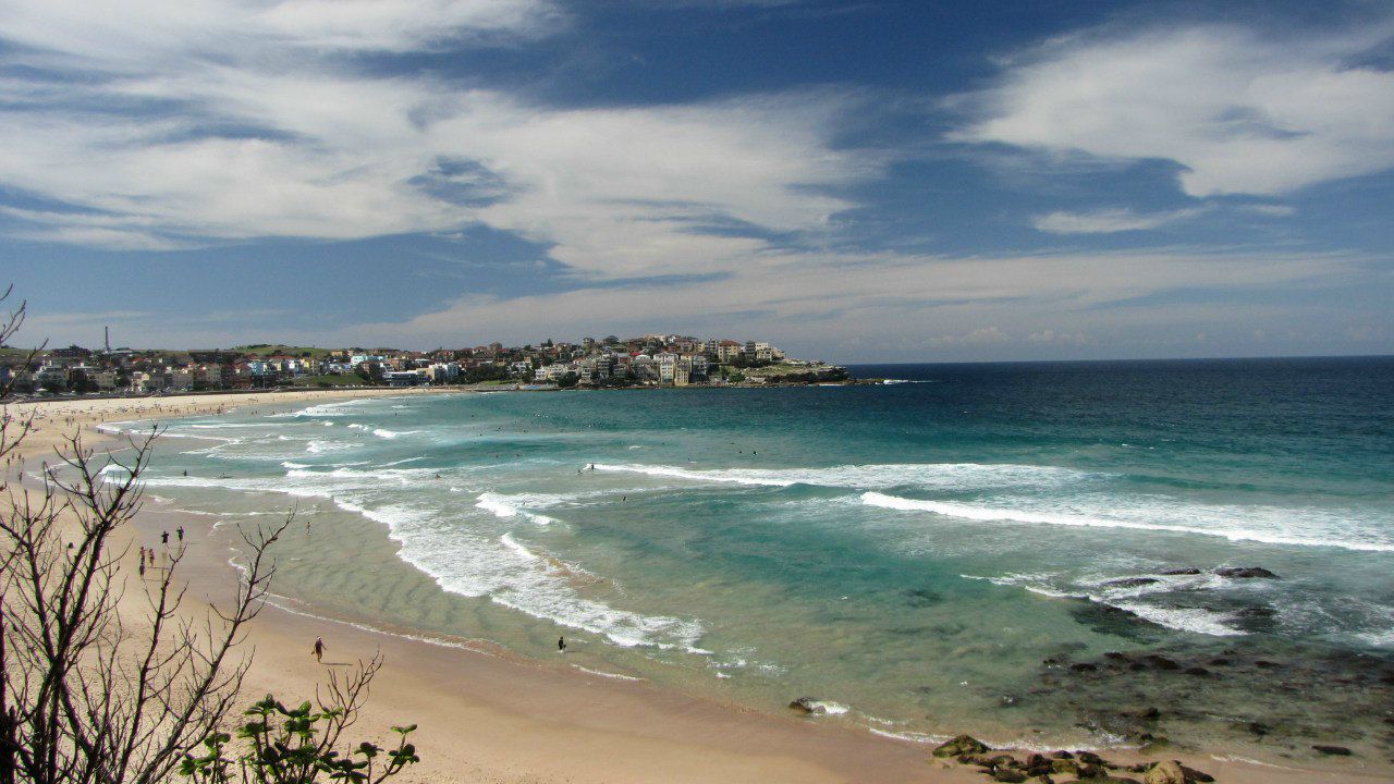 Ольга Королева | Москва