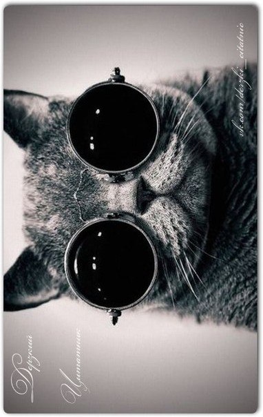 Лена Николаева | Николаев