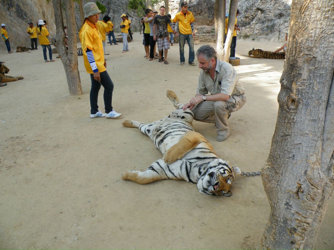 Борис Град | Иерусалим
