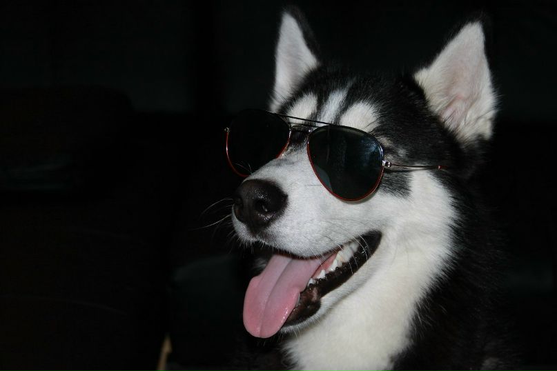 Виктор Глушков | Анжеро-Судженск