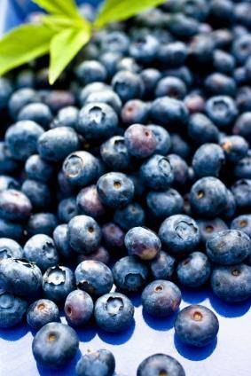 Black Berry Cool | Los Angeles