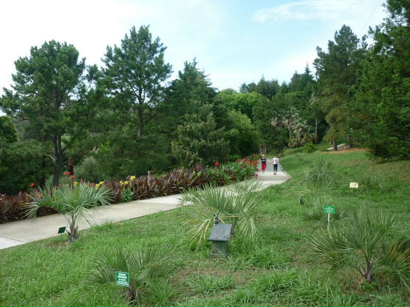 Olga Koroleva | Волгоград