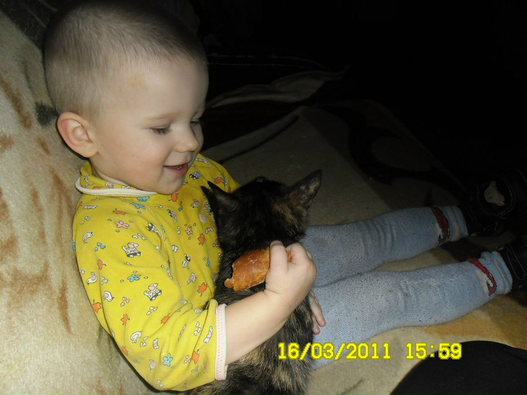 Александр Кравцов | Витебск