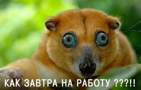 Андрей Онищенко | Мелитополь