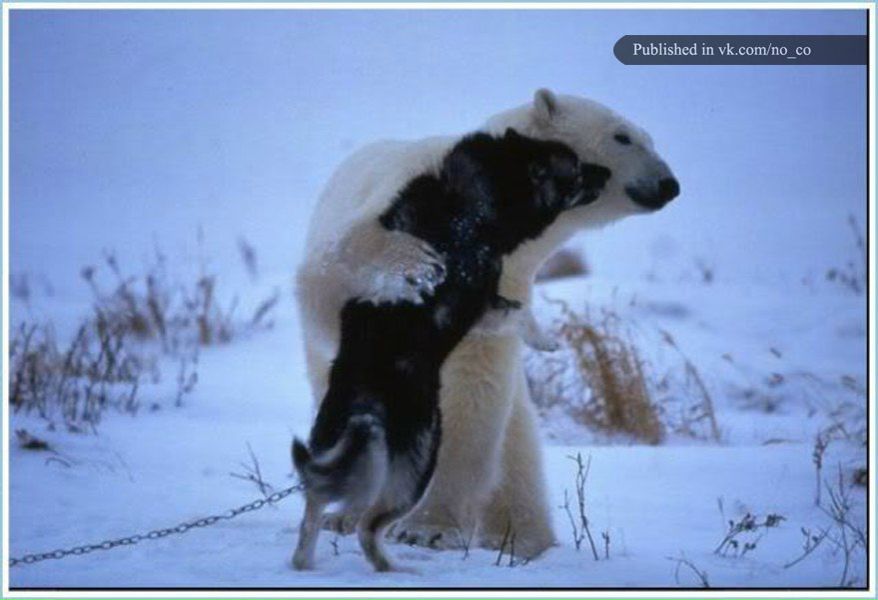 Виктор Байзаров Сергеевич | Самара