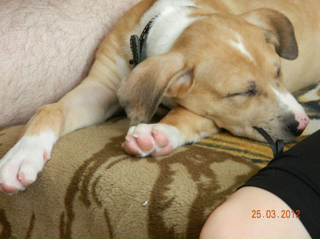 Алексей Вилков | Рязань