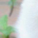 №15 Gd Wr 19.01: профиль, фото, статус - ВКонтакте №15 Gd Wr 19.01: профиль, фото, статус - ВКонтакте