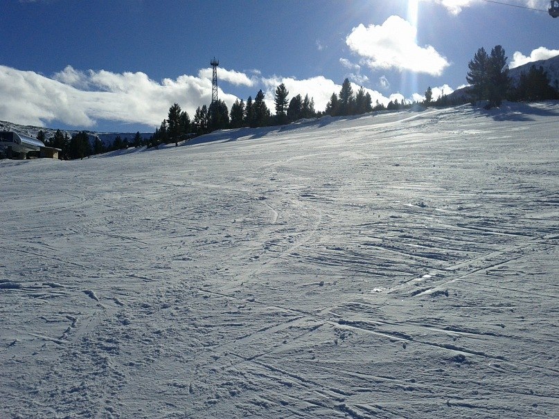 Світланка Писаренко Chasey | Киев