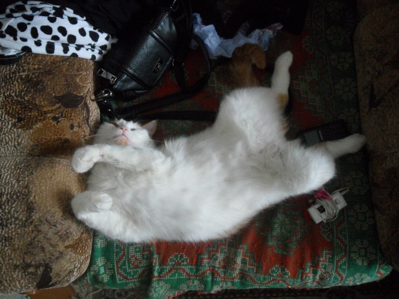 Наталья Самакова | Санкт-Петербург