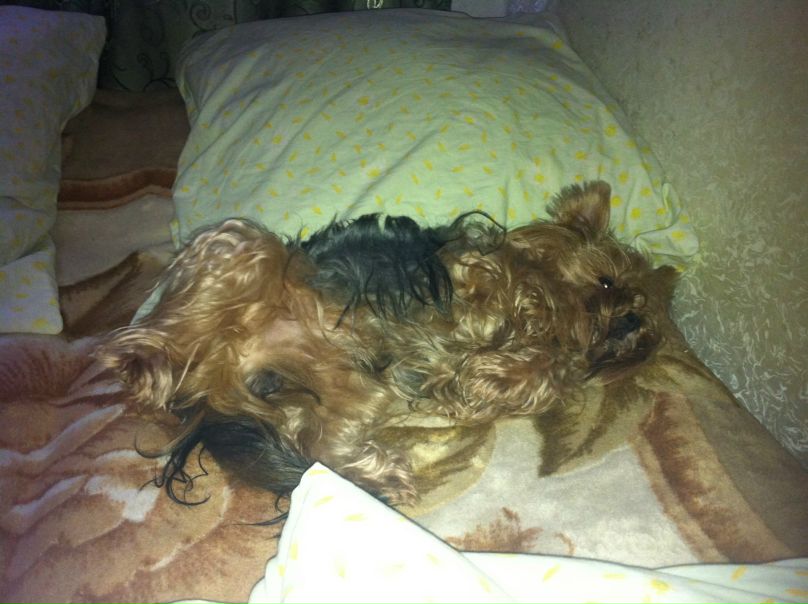 №86, Ирина Шиш, 15.11.1984 №86, Ирина Шиш, 15.11.1984