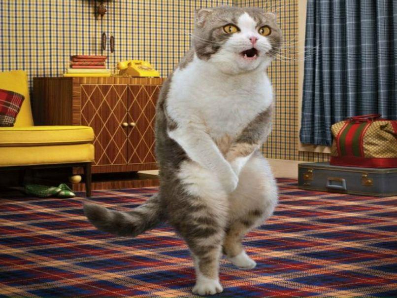 Василий Пролеев | Санкт-Петербург