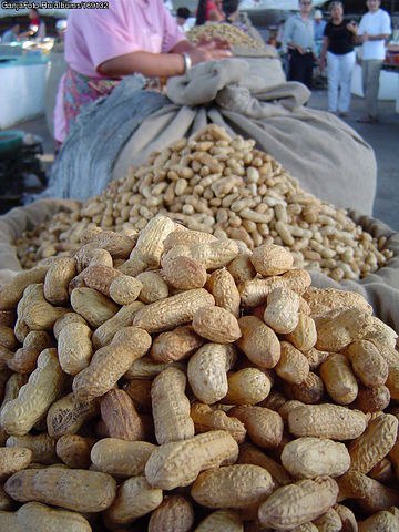 Галина Старова | Санкт-Петербург