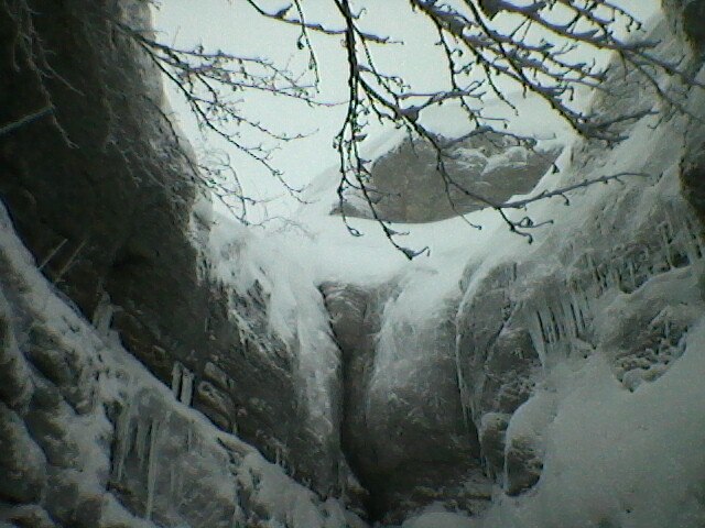 Юлия Владимирова | Севастополь