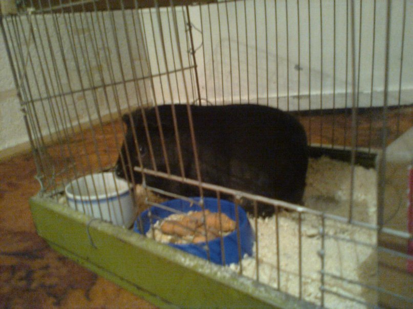 Иван Милютин | Улан-Удэ