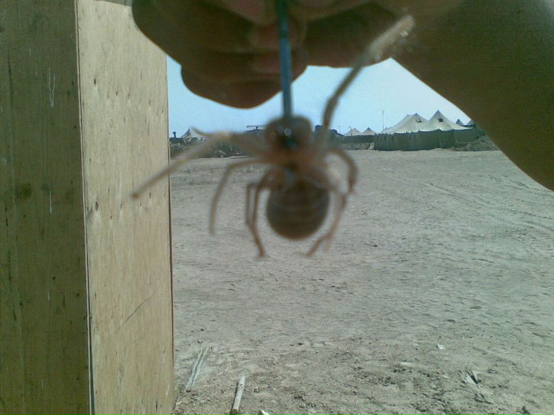 Вадим Назаров •●z@tvorn1k•● | Ярославль