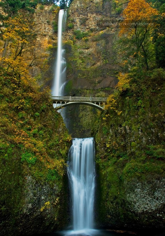 Серёга Павленко | Киев