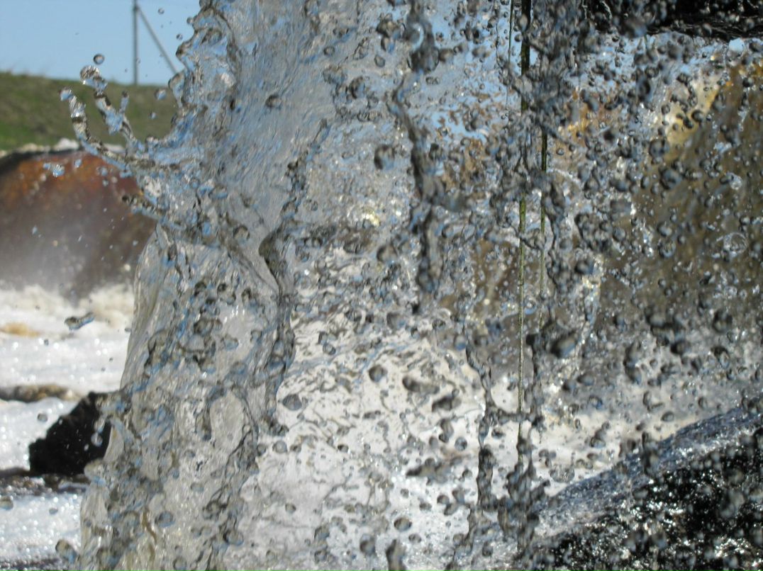 Илья Меланич | Санкт-Петербург