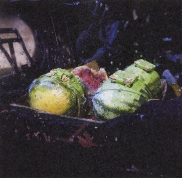 №63, Ладомир Зелинский, 17.6.1991, Санкт-Петербург №63, Ладомир Зелинский, 17.6.1991, Санкт-Петербург