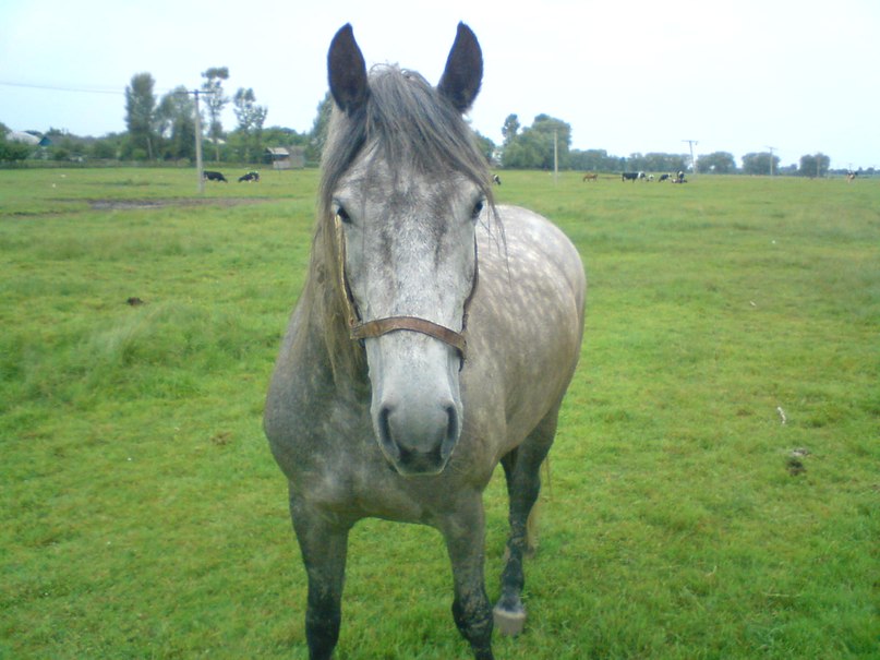 Вітя Глум | Рыковичи