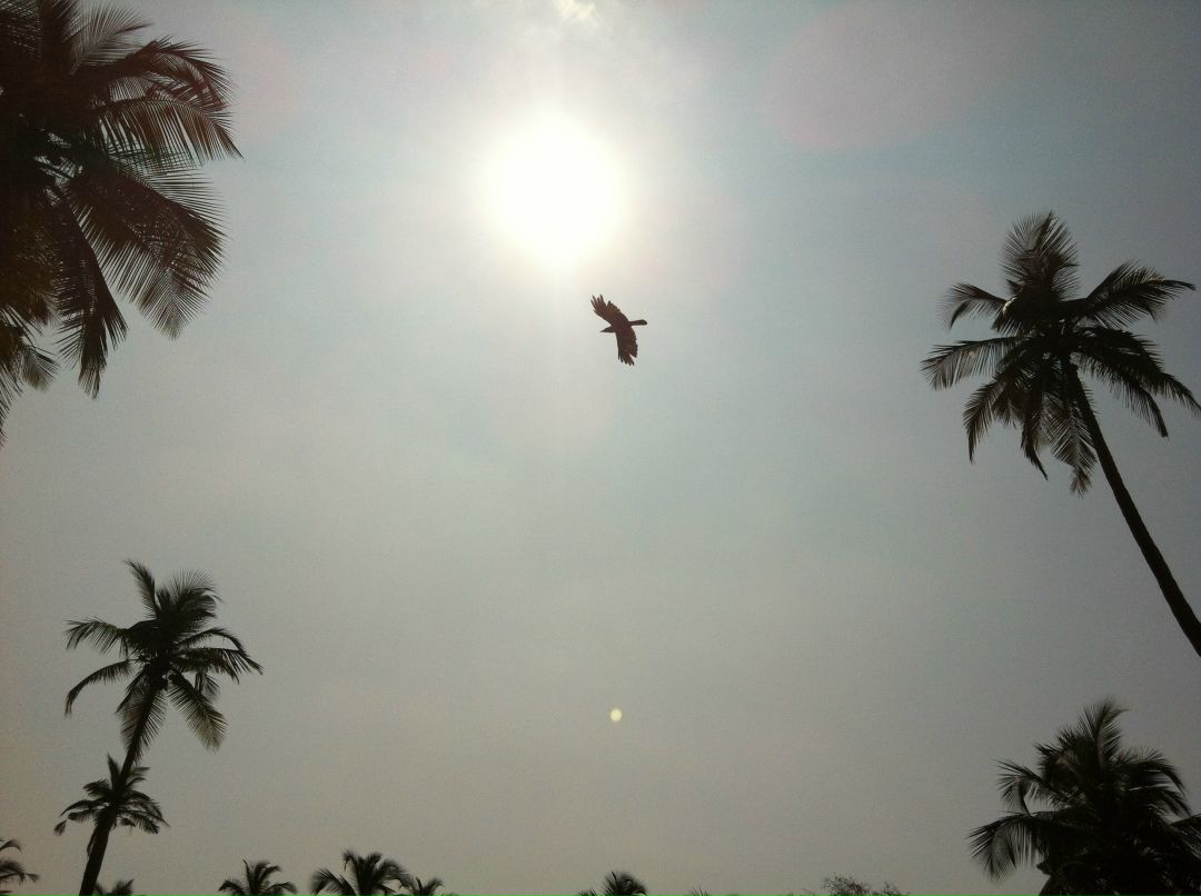 Дмитрий Петров Айс | Москва