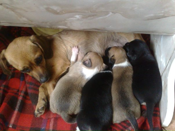 №20, София Доний №20, София Доний