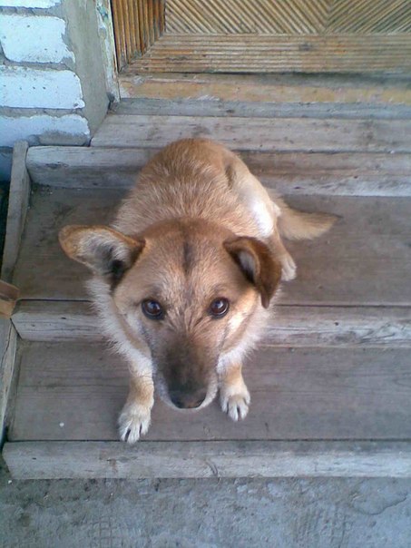 №12, Семён Резников №12, Семён Резников