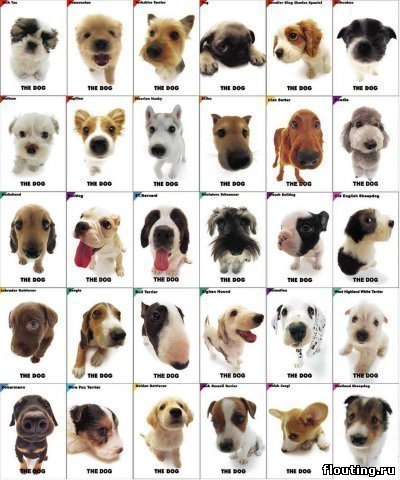 Лелик Сушкова ]<lub_N14_]<@ | Москва