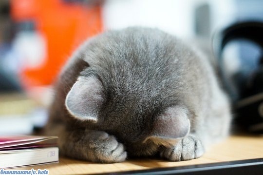 №17, Юленька Жук, 38 лет, Санкт-Петербург №17, Юленька Жук, 38 лет, Санкт-Петербург