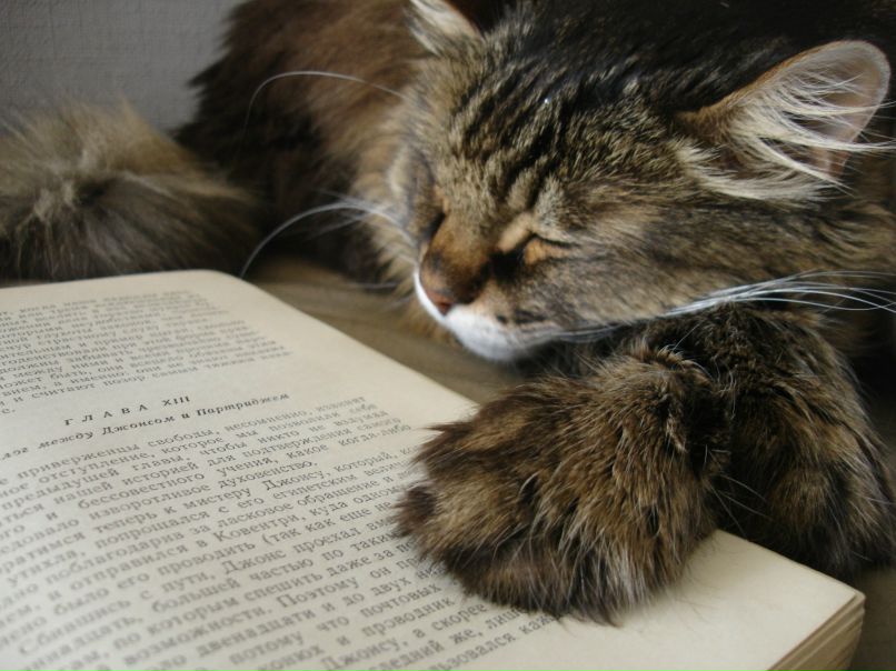 Ирина Рыбакова | Казань