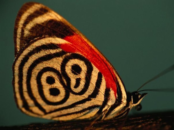 Made Love With | Санкт-Петербург