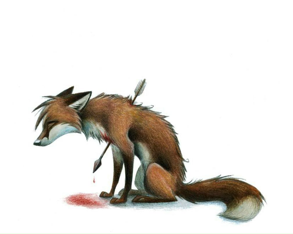 Andrew Hallek | Ташкент