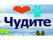 Инна Юрченко Викторовна | Северодвинск