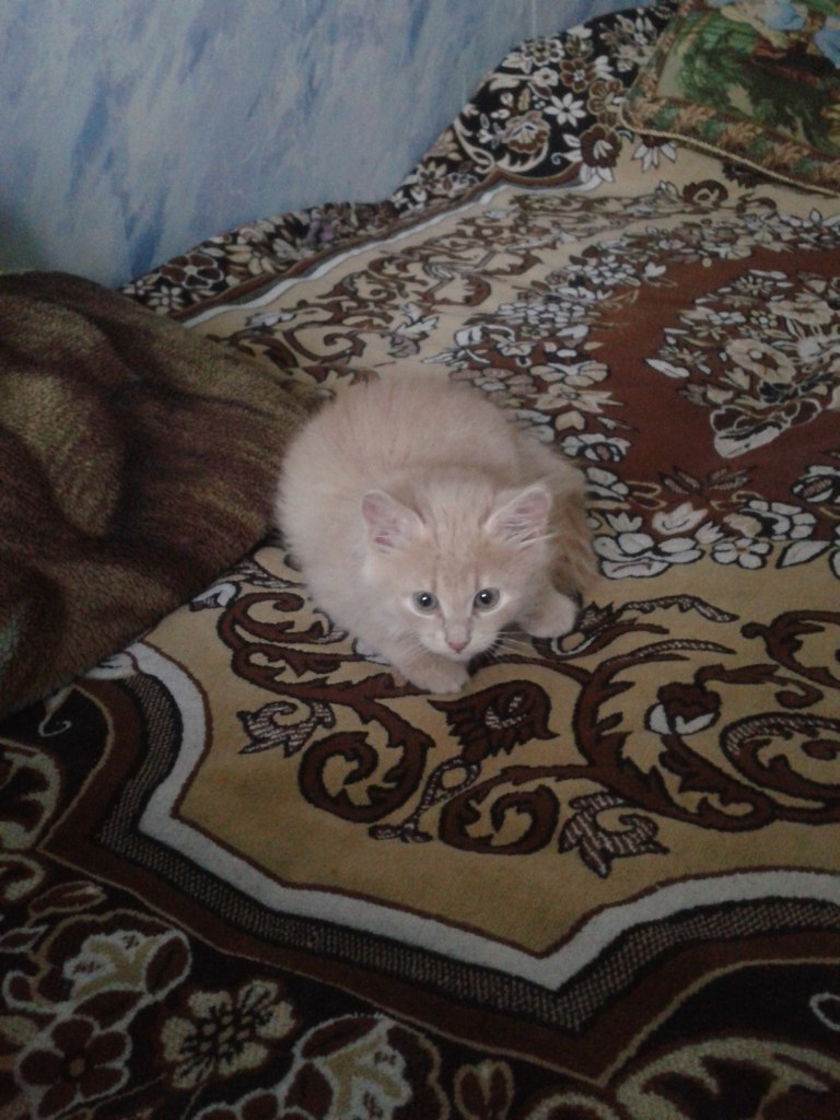 Светлана Громова | Тверь