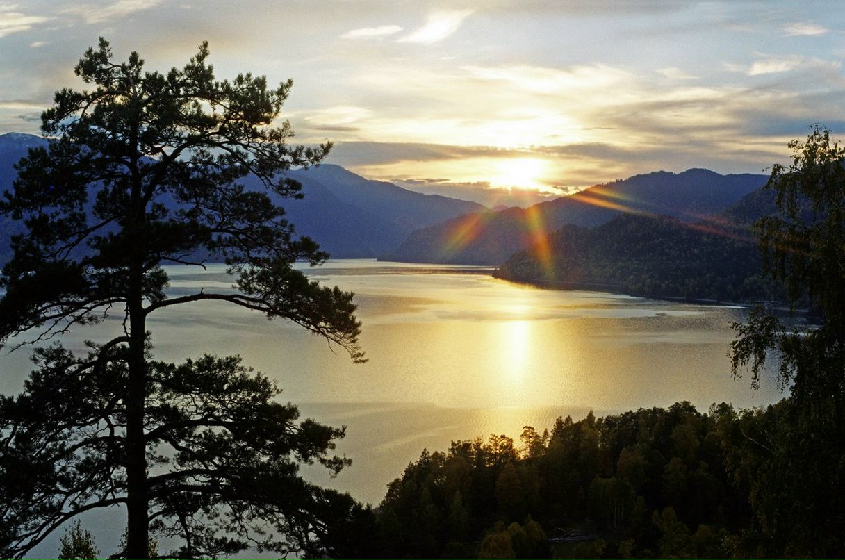 Леся Котенко | 