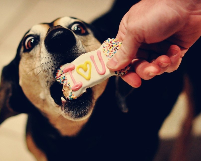 Эмиль Хайдаров | Уфа