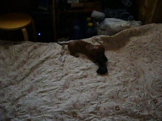 Маргарита Савчук | Москва