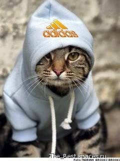 Ярослав Фроленков | Ростов-на-Дону