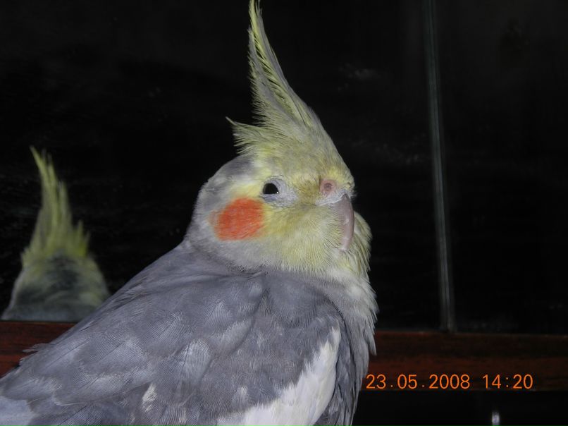 Елена Горбачева | Калуга