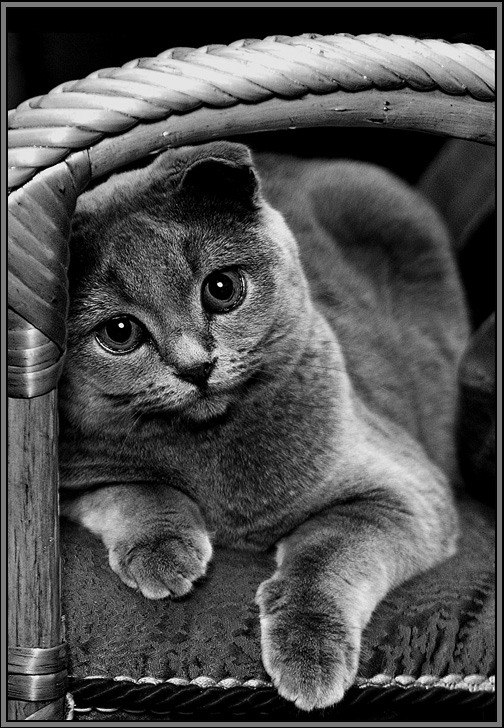 Katrin Pozdneeva | Совхоза «Россия»