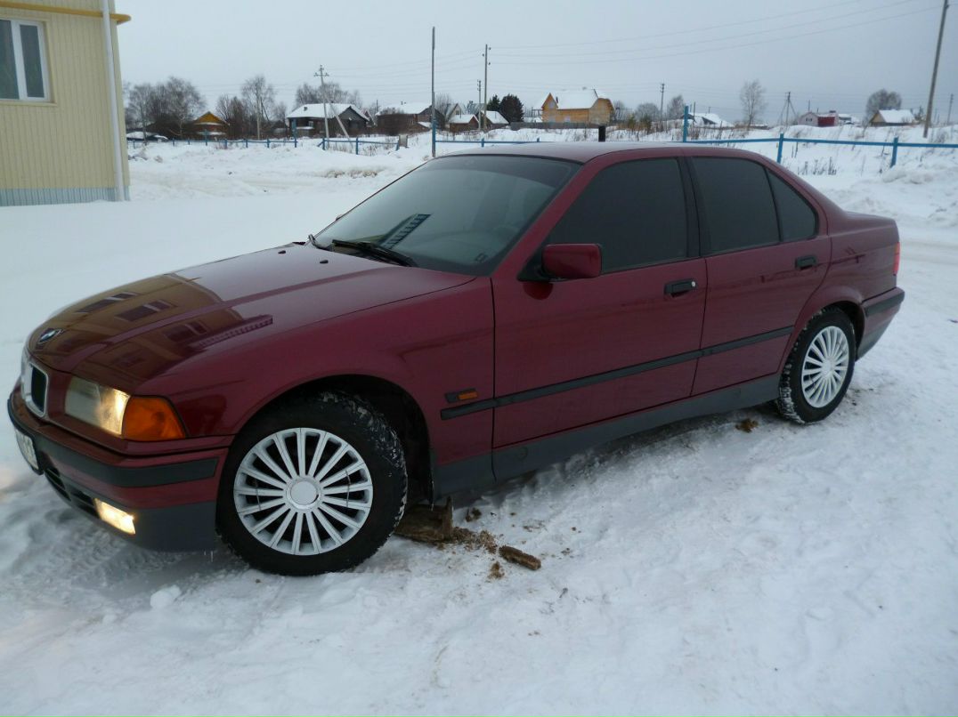 Олег Козлов | Сыктывкар