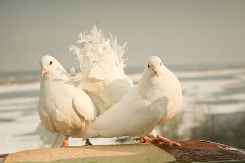 Юлия Панова | Санкт-Петербург