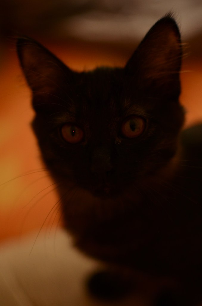 Петр Андреевич | 