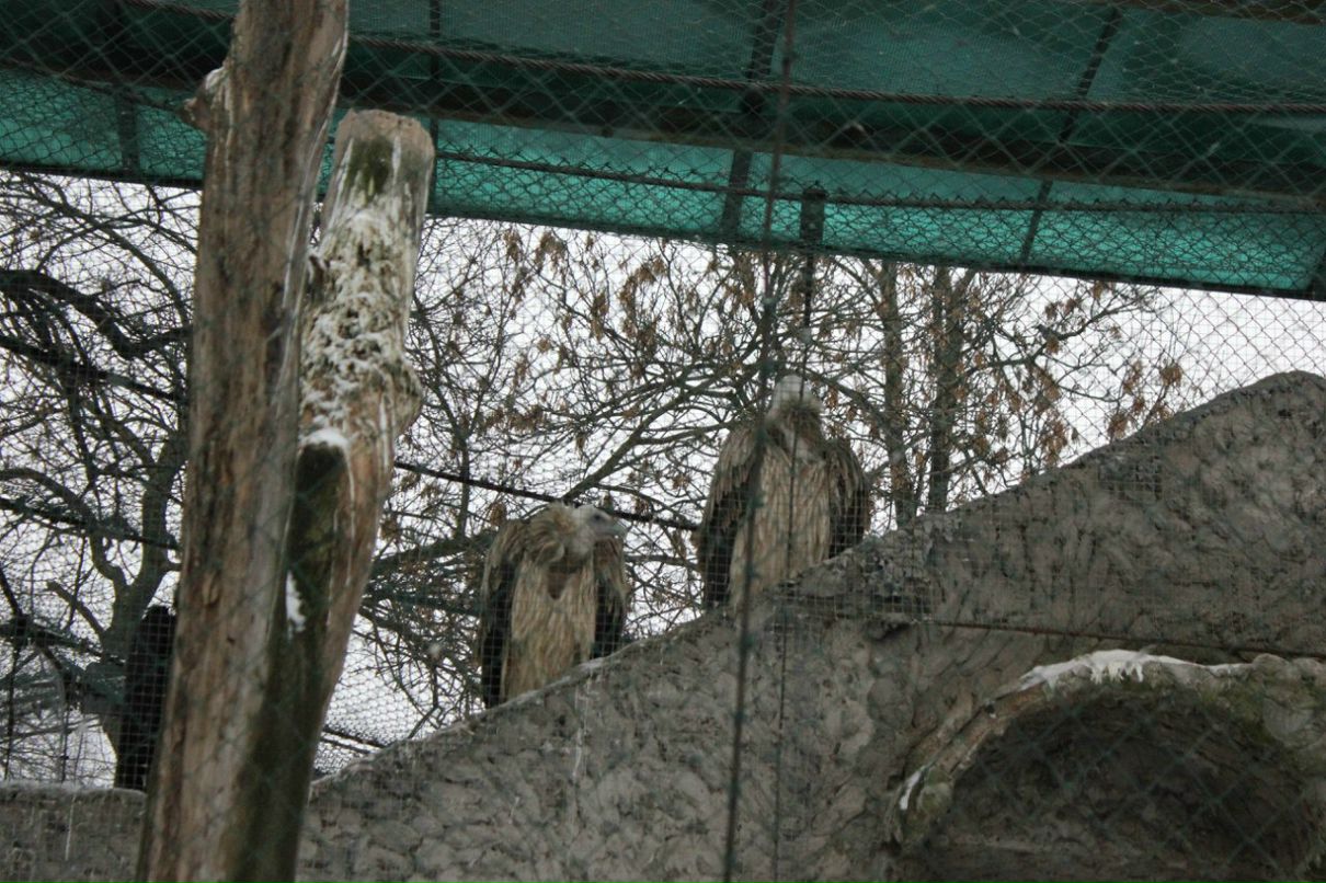 Екатерина Голубенко | Санкт-Петербург