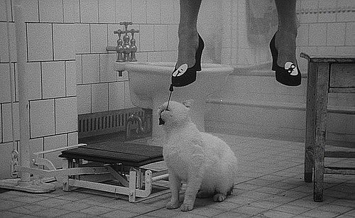 Алина Волошина | Москва